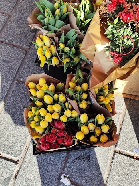 Several bouquets of fresh flowers are arranged outdoors on a paved surface, consisting of bright yellow tulips with smooth, rounded petals and green leaves, and deep red tulips with slightly pointed p